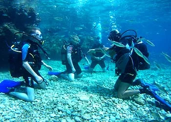 Dive in Marmaris