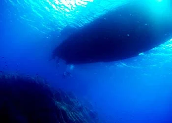 View Under the Boat